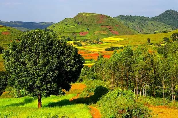Vijayawada to Araku Valley trip by cab