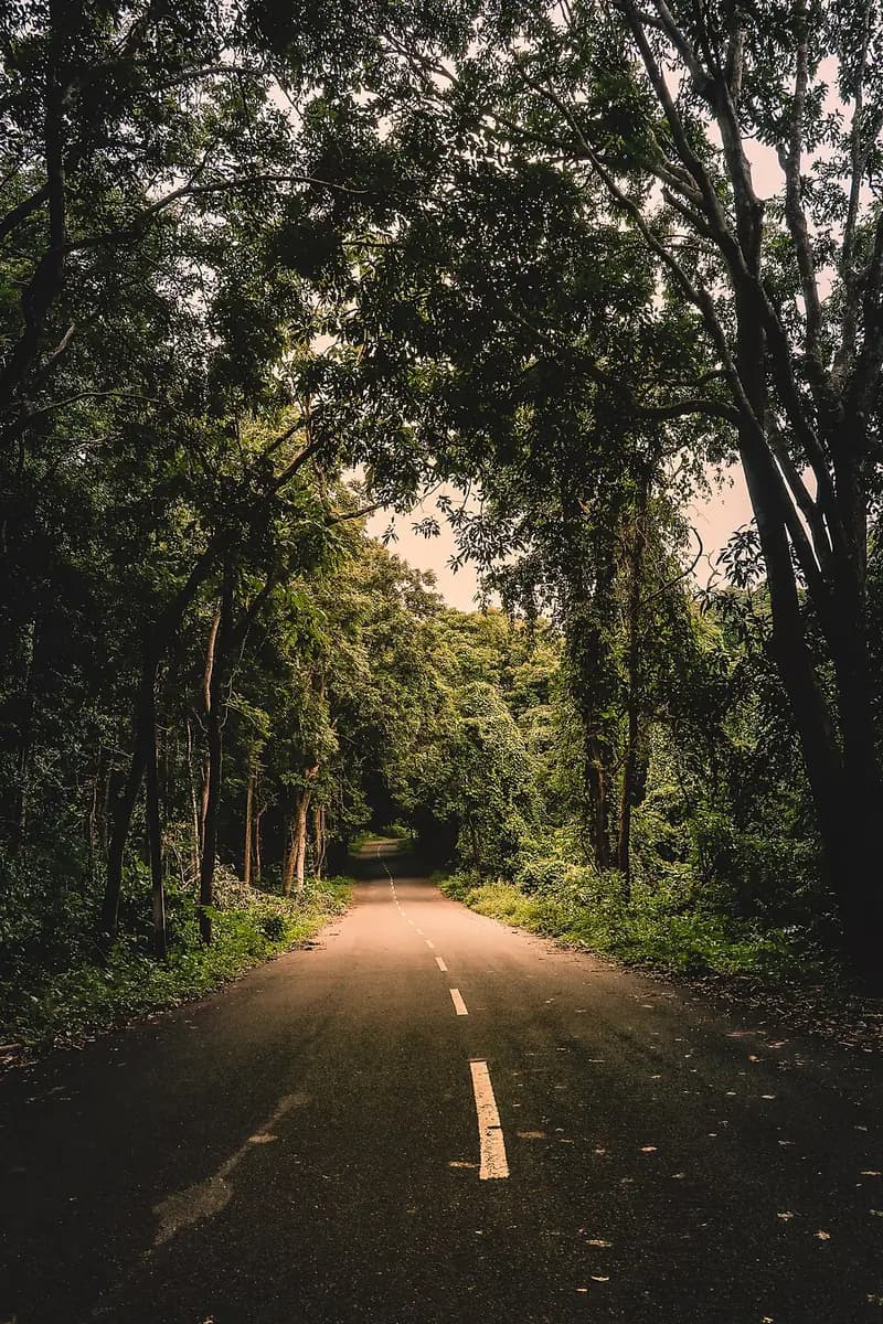 Vijayawada to Maredumilli trip by cab
